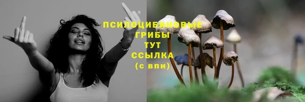 MDMA Козельск