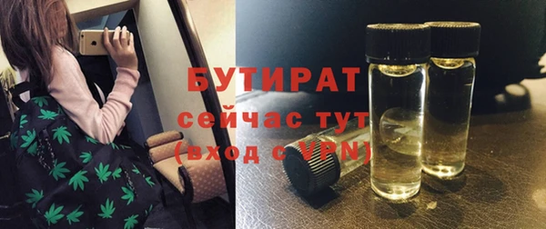 ГАЛЛЮЦИНОГЕННЫЕ ГРИБЫ Строитель