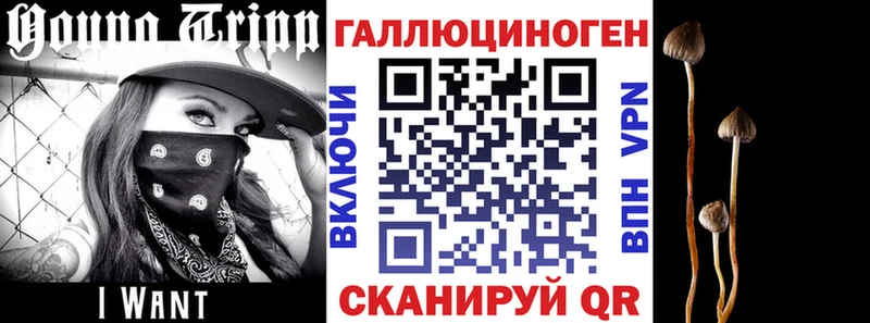 Купить закладки  Колпашево  Галлюциногенные грибы мицелий 